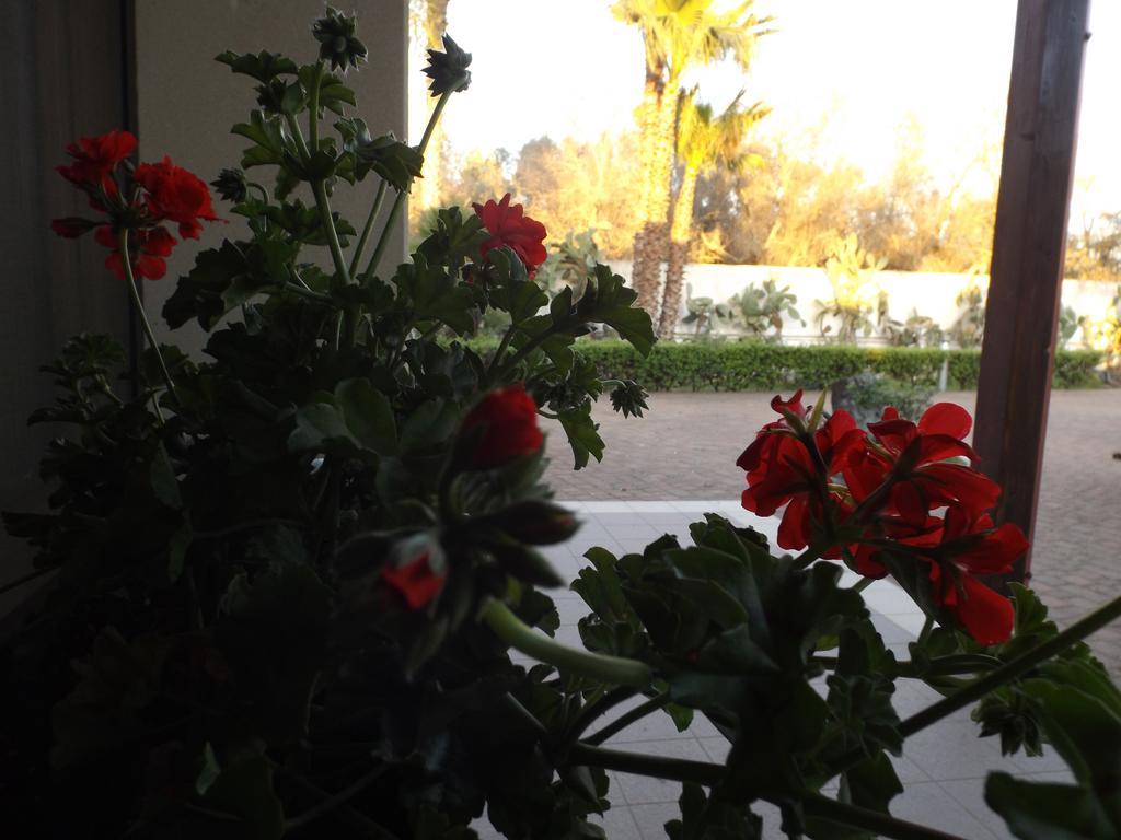 Villetta Del Salento Exclusive B&B Gallipoli Exteriér fotografie